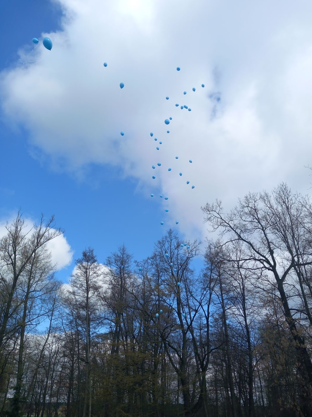 Zdjęcie przedstawia lecące niebieskie balony