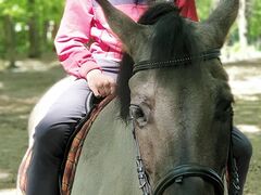 chłopiec siedzi na koniu 