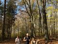Nauczyciel oraz 2 uczniów wędrujących ścieżką prowadzącą na szczyt Ślężyjpeg