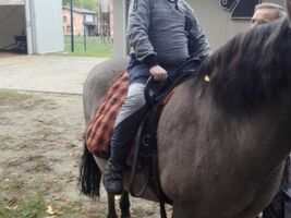 chłopiec siedzi na grzbiecie konia o imieniu Hejnał