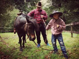 dwóch chłopców trzyma konia za wodze, koń pochyla łeb w kierunku trawy