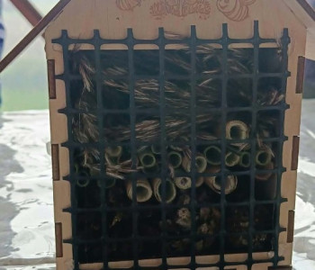 tak wygląda gotowy domek dla pszczół 